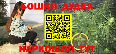 PSILOCYBIN Обнинск