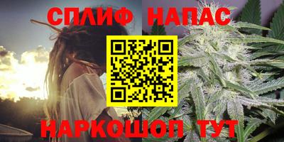 ешки Обь