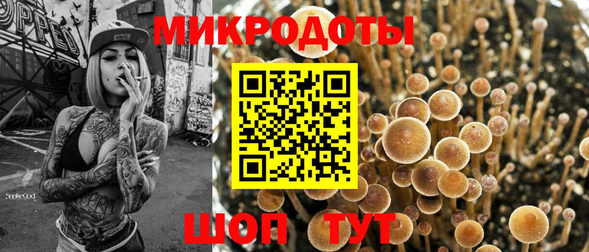 Галлюциногенные грибы Cubensis Нижнекамск